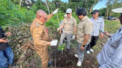 Pemkab Lembata Dorong Pengembangan Jambu Mente, Investor Lakukan Monitoring dan Survei Lapangan