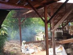 Dugaan Penimbunan BBM di Kabupaten Madina Mencuat Berkedok Pengelolaan Kayu