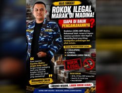 SATMA AMPI Madina Soroti Maraknya Rokok Ilegal di Mandailing Natal: Siapa di Balik Pengamanan dan Peredarannya?