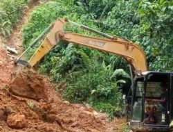 Eksavator Tambang Ilegal Menjamur di Aek Nabara, APH dan Pemkab Madina Didesak Selidiki Dugaan Keterlibatan Oknum Kades
