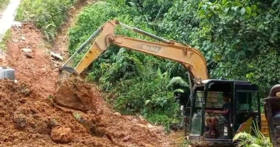 Eksavator Menjamur Tambang Emas Ilegal
