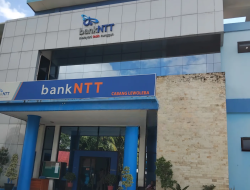 Bank NTT Lembata  Mediasi Nasabah Lazarus : Siap Hadirkan Petugas Kredit Elisabeth