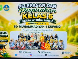 SD Muhammadiyah 1 Kupang Gelar Pelepasan Siswa Kelas VI dan Wisuda Tahfiz Angkatan II
