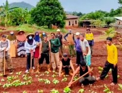 LBH Makassar Soroti Rencana Pengosongan Lahan Laoli di Luwu Timur, Komnas HAM Diminta Bertindak