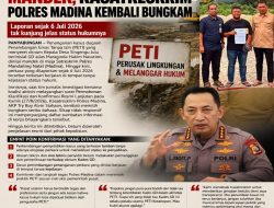 Kasus PETI Kades GD Mandek, Kasatreskrim Polres Madina Kembali Bungkam.