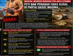 Skandal Peti Madina, AHP didesak Usut Tuntas Inisial Borgo diduga Pelaku Utama Peti dan Penadah Emas Ilegal di Pantai Barat Madina