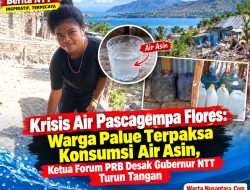Krisis Air Pasca Gempa Flores: Warga Palue Terpaksa Konsumsi Air Asin, Ketua Forum PRB Desak Gubernur NTT Turun Tangan