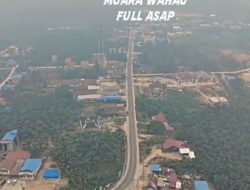 Kabut Asap Karhutla Parah Selimuti Pedalaman Kutim: Sekolah Diliburkan, Warga Diimbau Gunakan Masker