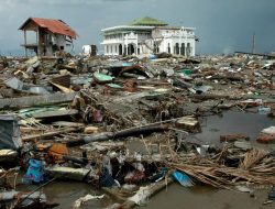 Memori Kolektif Dibalik Gelombang Dahsyat Tsunami Aceh 2004